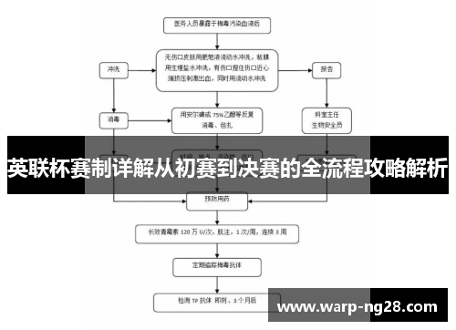 英联杯赛制详解从初赛到决赛的全流程攻略解析 英联杯赛制详解从初赛到决赛的全流程攻略解析